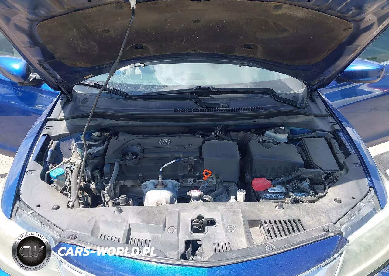 2016 Acura Ilx 2.4L-Acurawatch Plus Package VIN:19UDE2F30GA021811 - 10