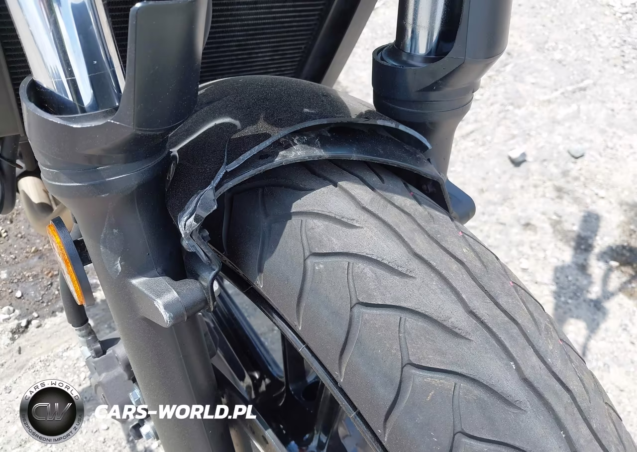 2020 Kawasaki En650 C VIN:JKAENEC1XLDA03135 - 15