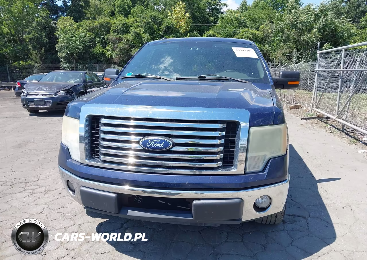 2010 Ford F-150 Fx2 Sport-Harley-Davidson-King Ranch-Lariat-Platinum-Xl-Xlt VIN:1FTFW1CV2AFB34562 - 12