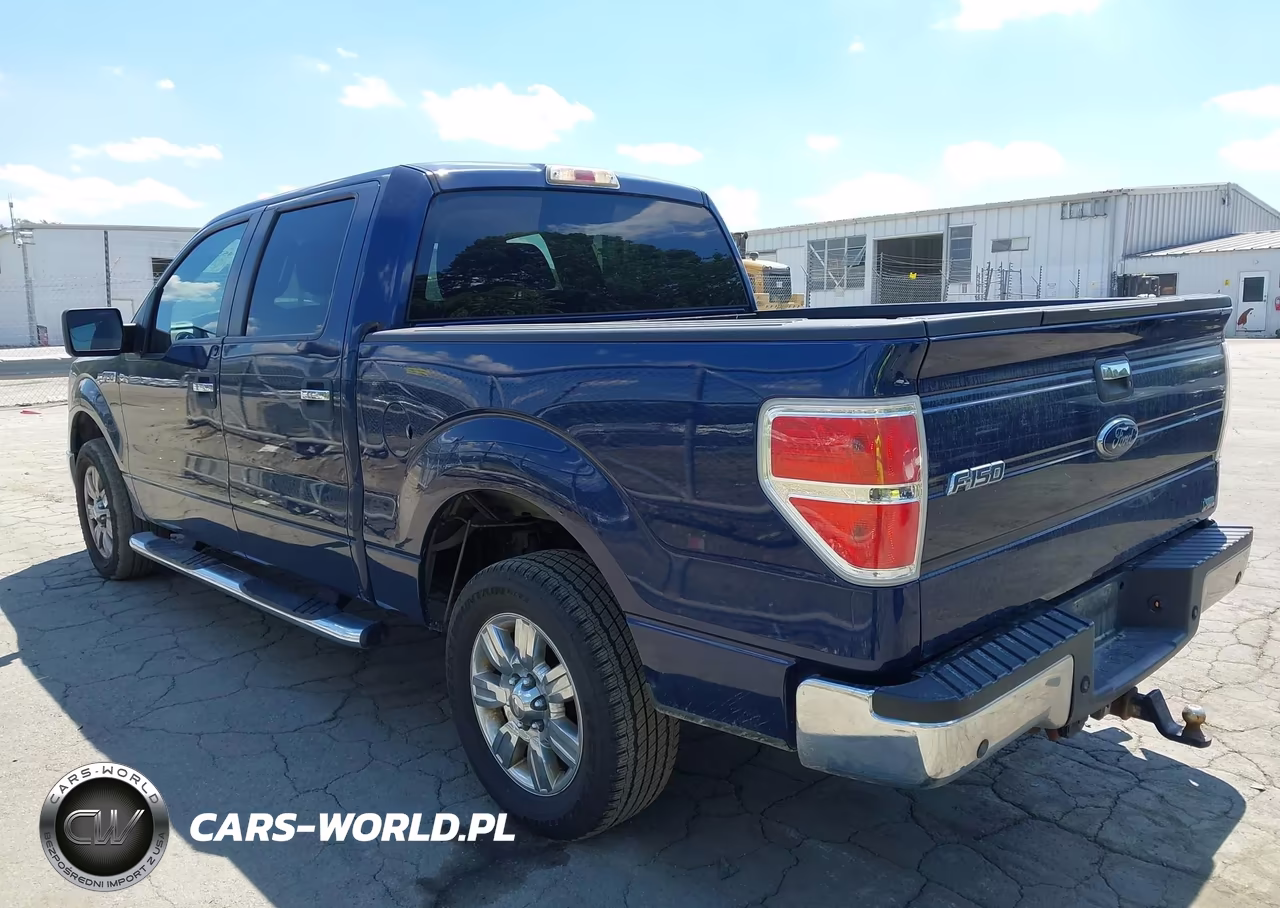 2010 Ford F-150 Fx2 Sport-Harley-Davidson-King Ranch-Lariat-Platinum-Xl-Xlt VIN:1FTFW1CV2AFB34562 - 3