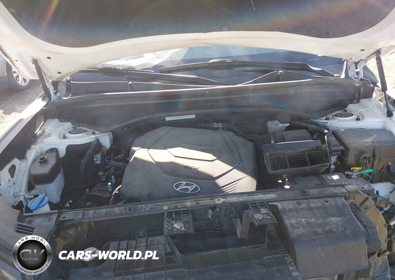 2023 Hyundai Palisade Limited VIN:KM8R5DGE9PU502425 - 10