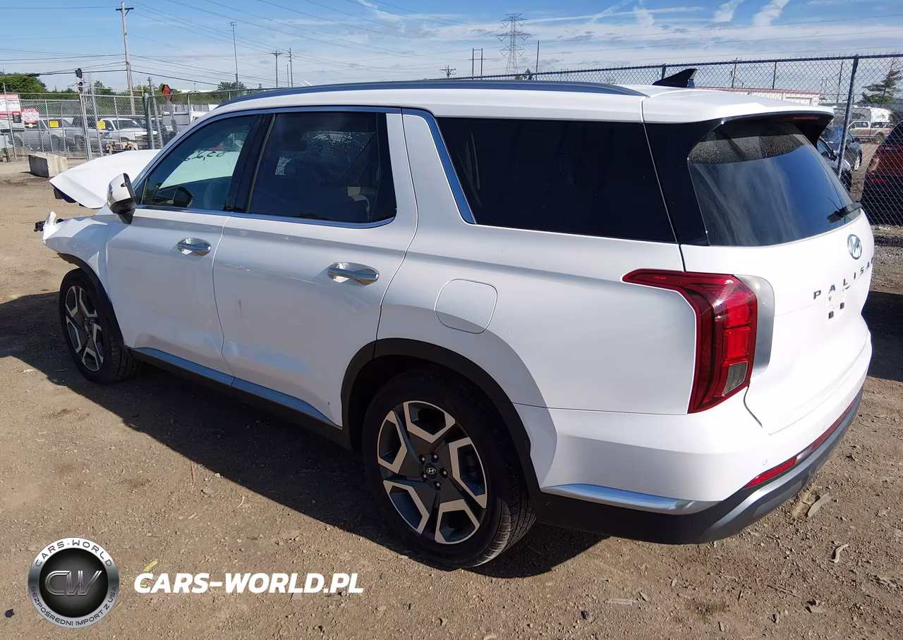 2023 Hyundai Palisade Limited VIN:KM8R5DGE9PU502425 - 3