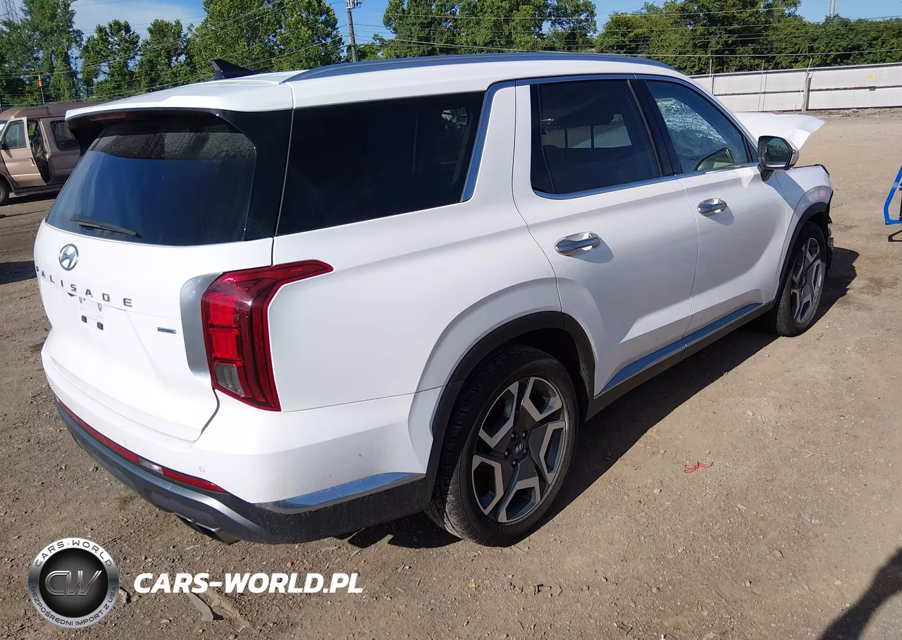 2023 Hyundai Palisade Limited VIN:KM8R5DGE9PU502425 - 4