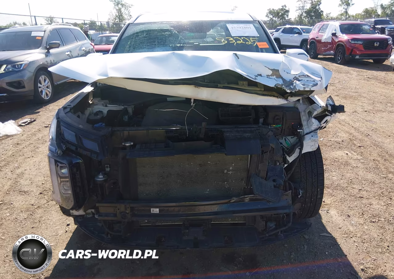 2023 Hyundai Palisade Limited VIN:KM8R5DGE9PU502425 - 6