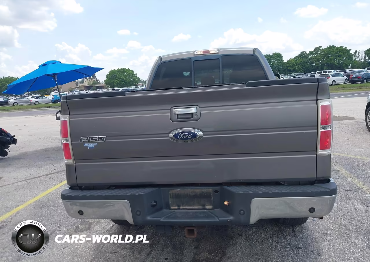 2013 Ford F-150 Fx4-King Ranch-Lariat-Limited-Platinum-Xl-Xlt VIN:1FTFW1ET7DFD19447 - 16