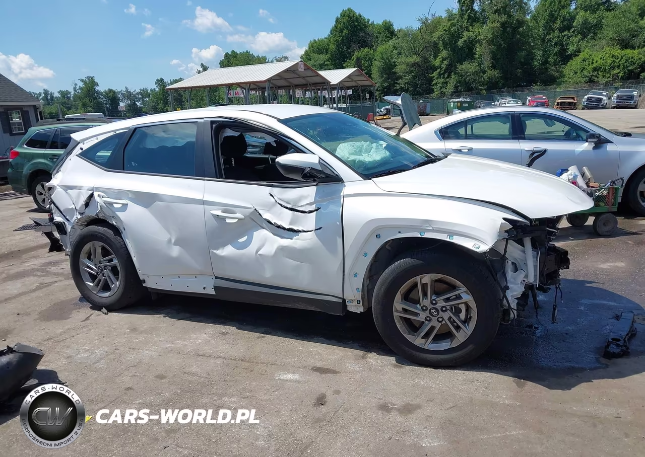 2025 Hyundai Tucson Se VIN:3KMJACDE3SE021067 - 19