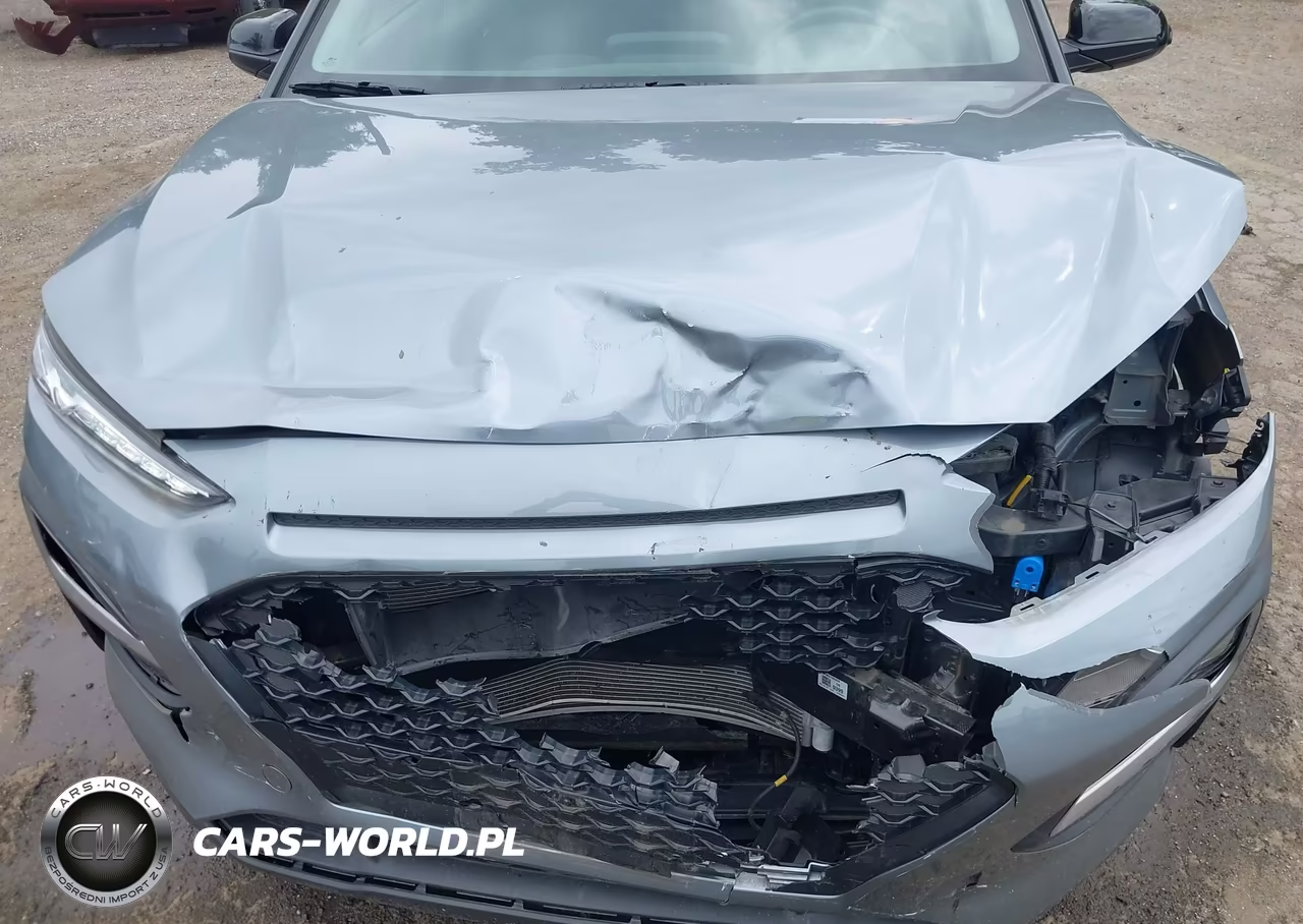 2021 Hyundai Kona Sel VIN:KM8K22AA5MU616809 - 10
