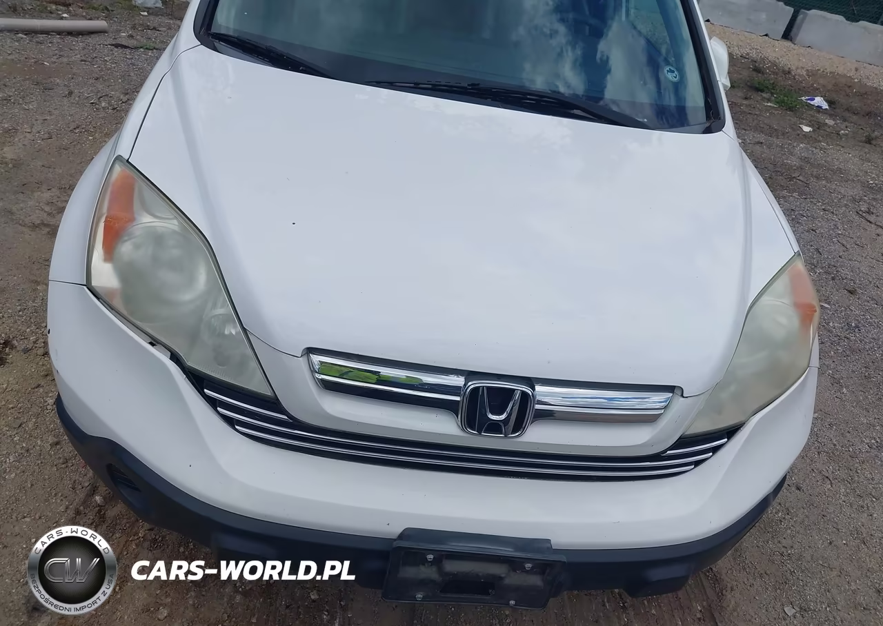 2008 Honda Cr-V Ex-L VIN:5J6RE48788L037965 - 6