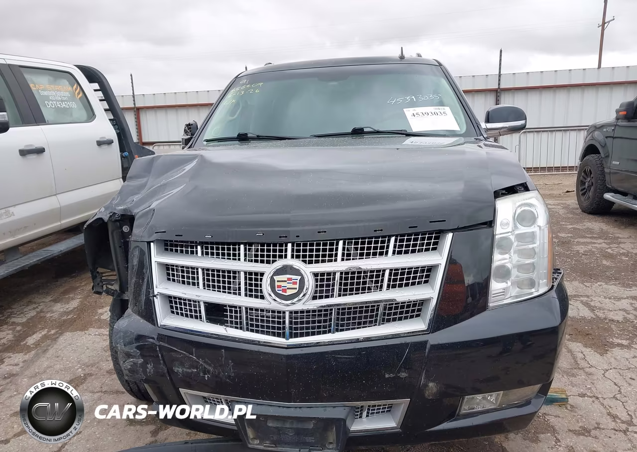 2011 Cadillac Escalade Esv Platinum Edition VIN:1GYS3KEF6BR214007 - 13