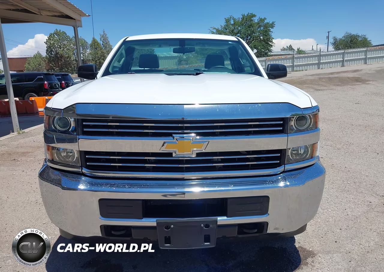 2018 Chevrolet Silverado 2500Hd Work Truck VIN:1GC0CUEG9JZ335582 - 17