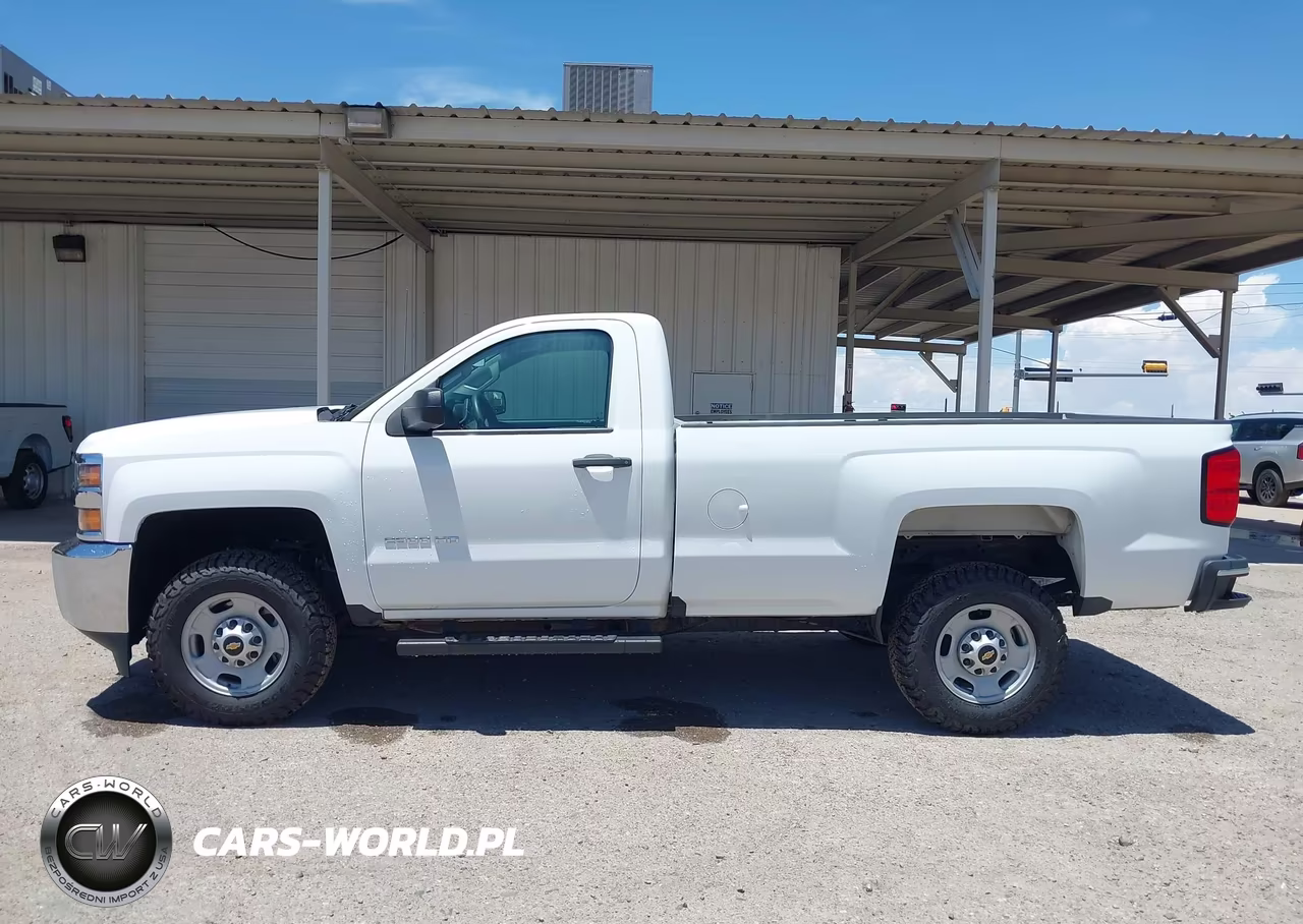 2018 Chevrolet Silverado 2500Hd Work Truck VIN:1GC0CUEG9JZ335582 - 19