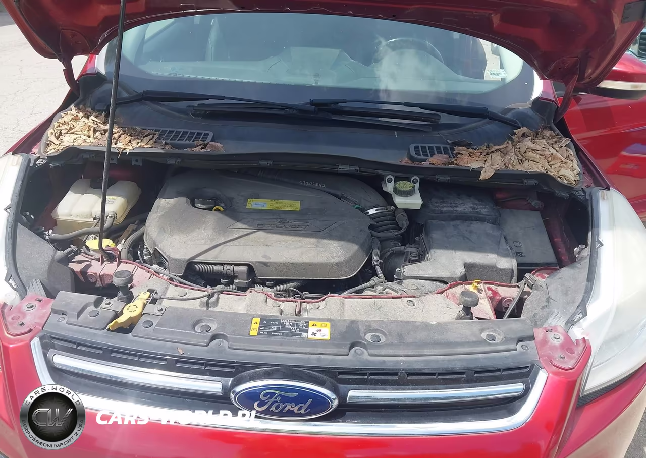 2013 Ford Escape Sel VIN:1FMCU0HX2DUA55188 - 10
