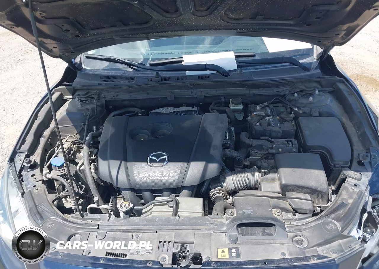 2016 Mazda Mazda3 I Sport VIN:3MZBM1U79GM249721 - 10