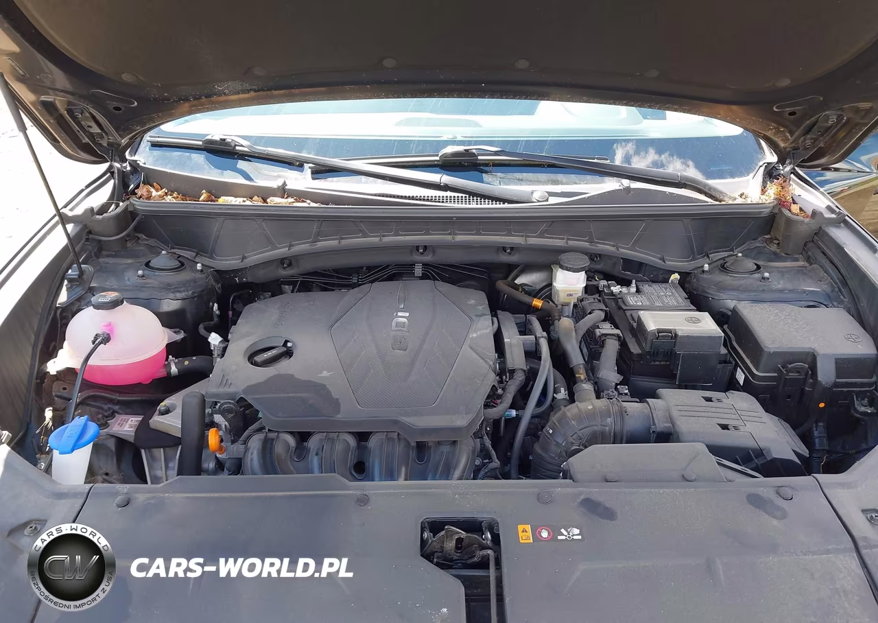 2024 Hyundai Tucson Sel VIN:5NMJBCDE5RH398552 - 10