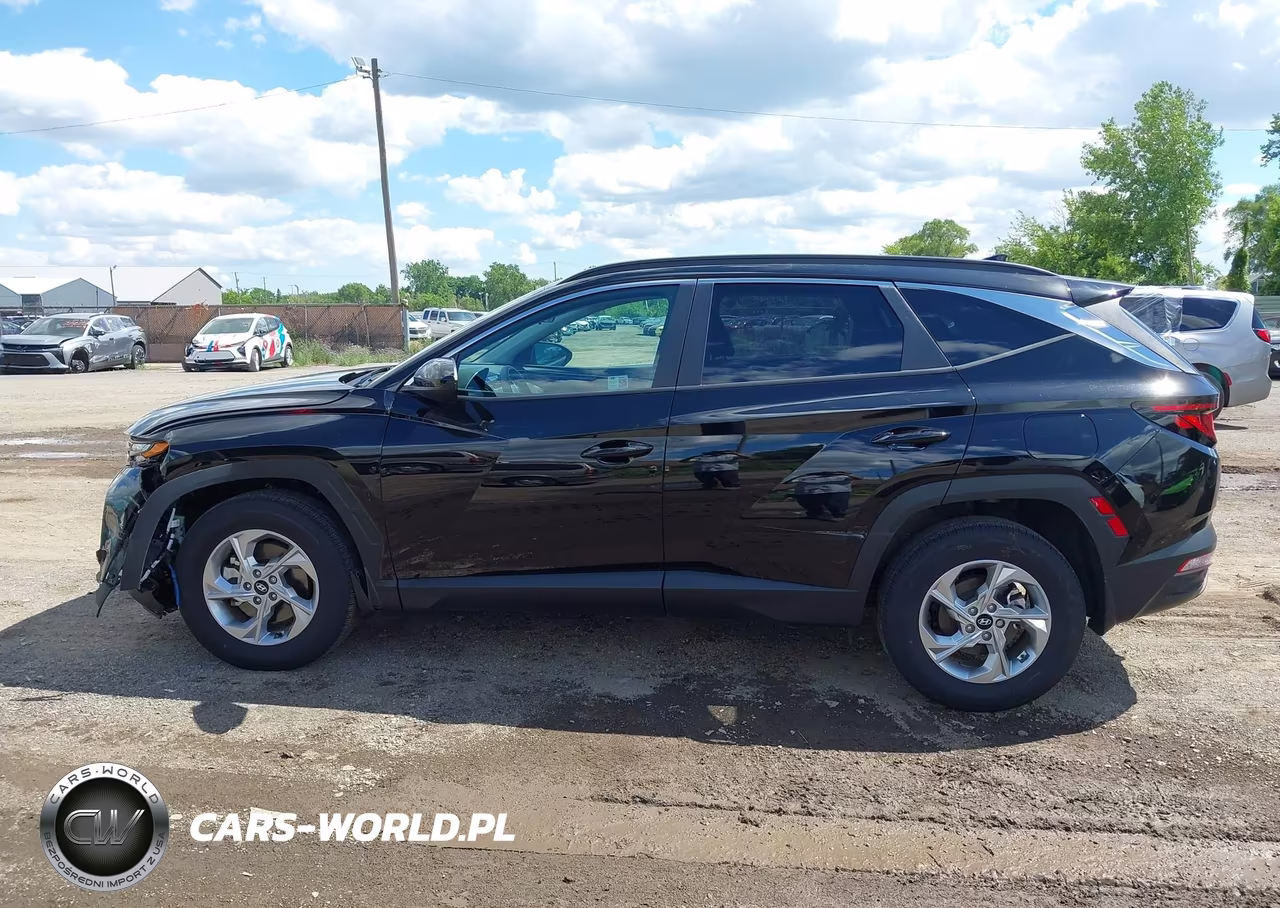 2024 Hyundai Tucson Sel VIN:5NMJBCDE5RH398552 - 14