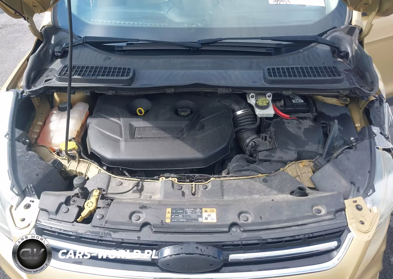 2014 Ford Escape Titanium VIN:1FMCU0J97EUC44206 - 10