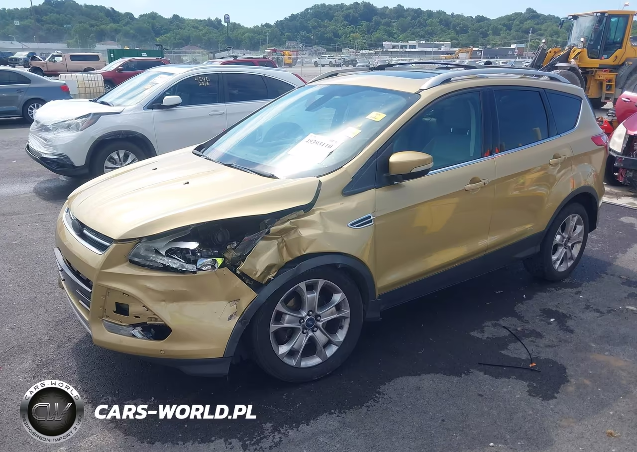 2014 Ford Escape Titanium VIN:1FMCU0J97EUC44206 - 2