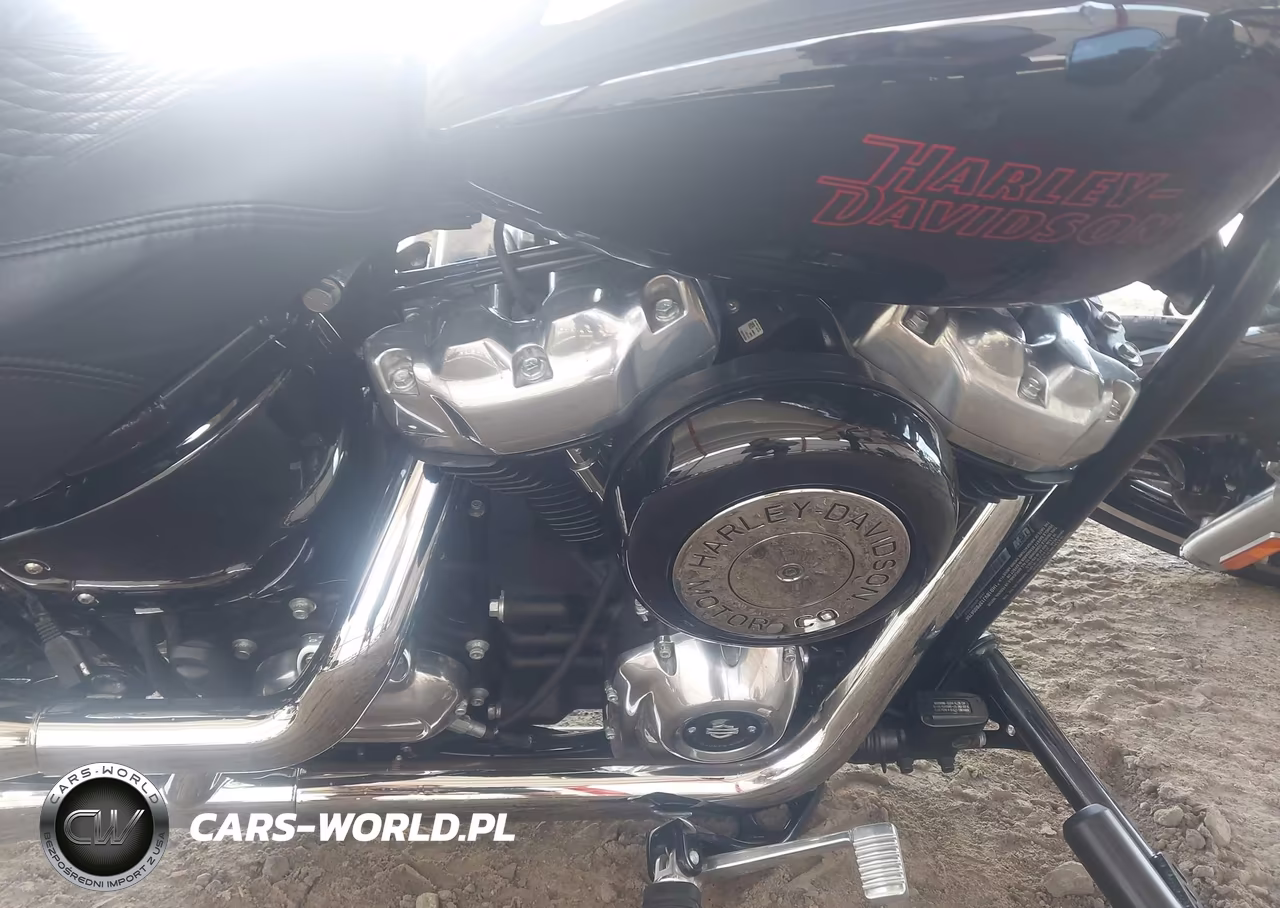 2023 Harley-Davidson Fxst VIN:1HD1BVJ13PB056756 - 8