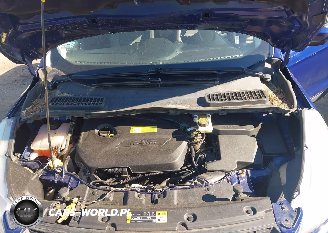 2014 Ford Escape Se VIN:1FMCU9GX9EUB19718 - 10
