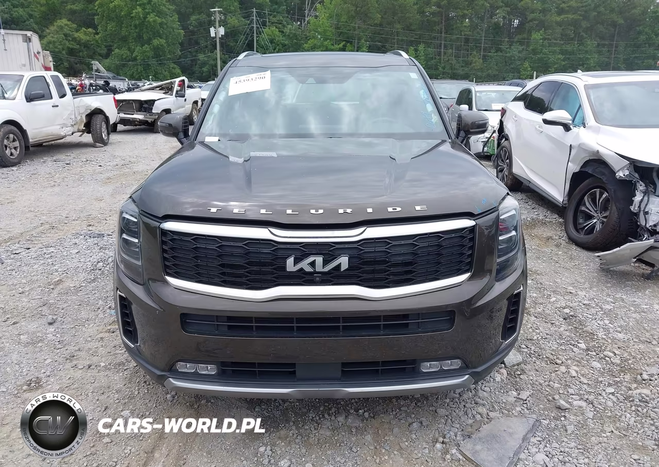 2022 Kia Telluride Sx VIN:5XYP54HCXNG202173 - 12