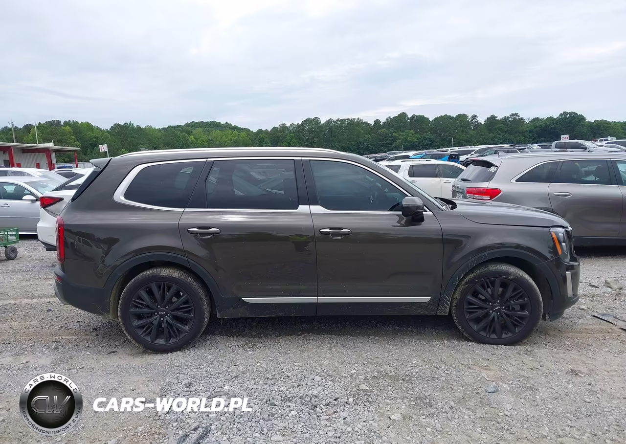 2022 Kia Telluride Sx VIN:5XYP54HCXNG202173 - 13