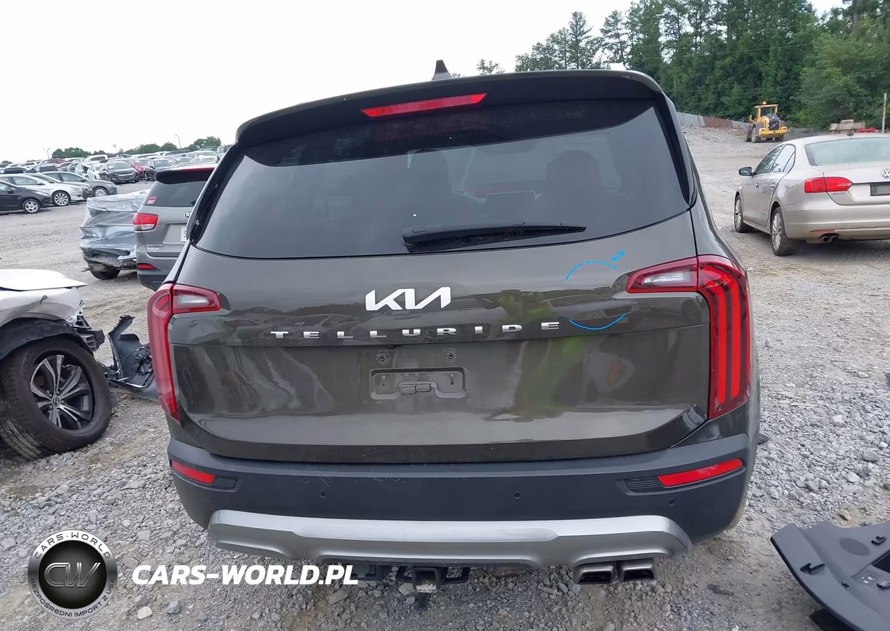 2022 Kia Telluride Sx VIN:5XYP54HCXNG202173 - 16