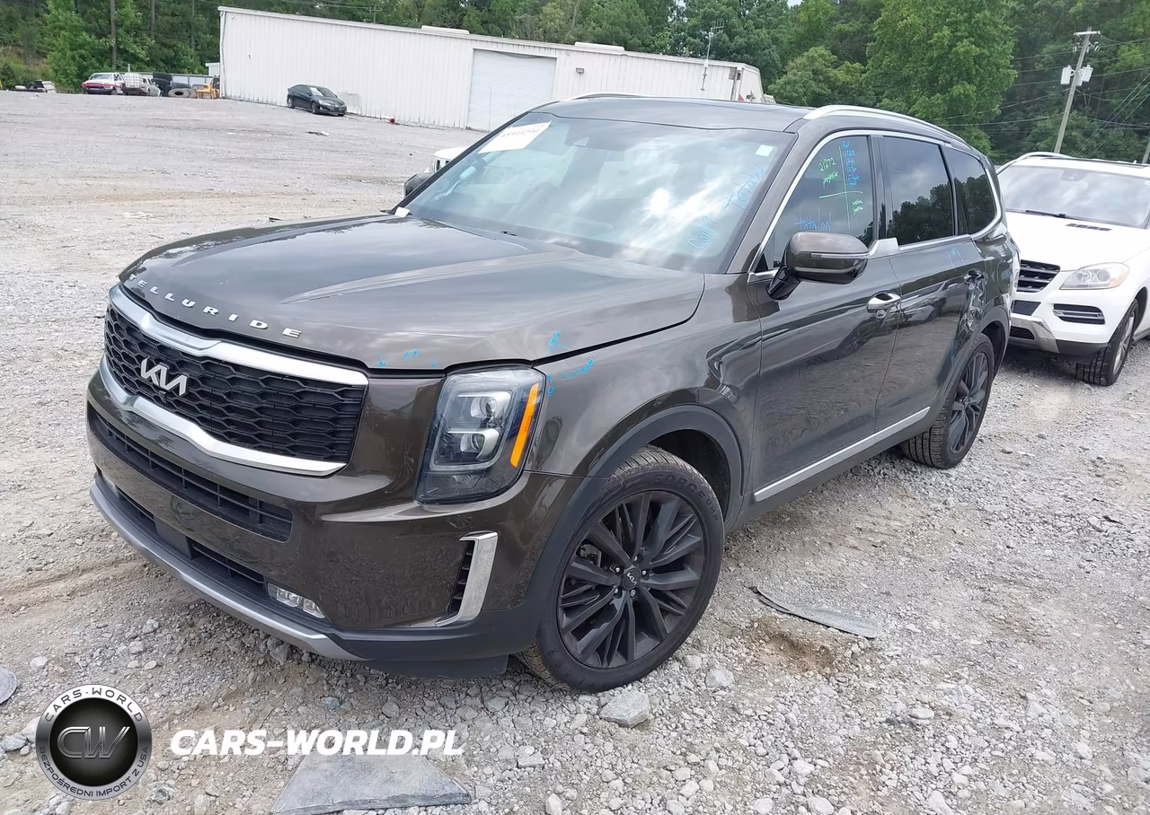 2022 Kia Telluride Sx VIN:5XYP54HCXNG202173 - 2