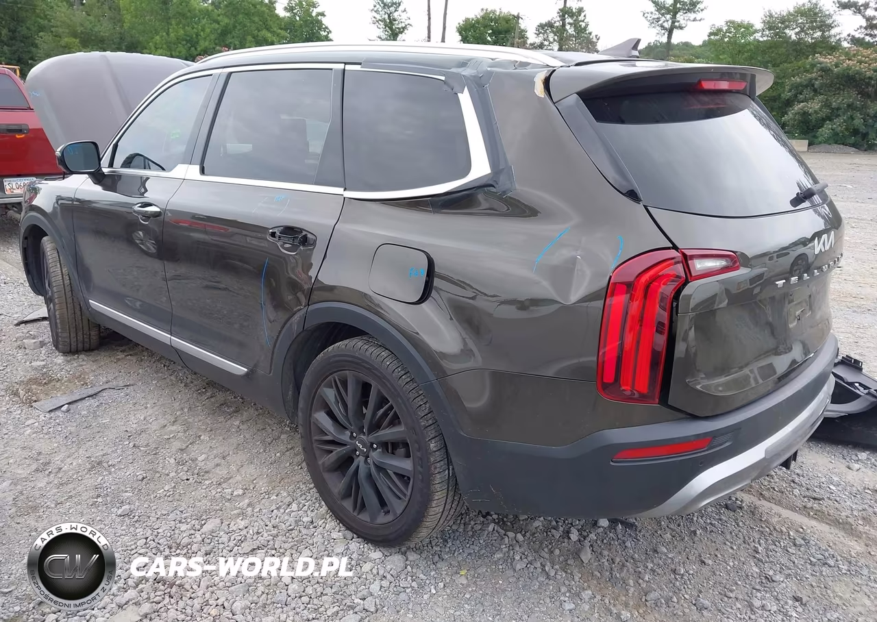 2022 Kia Telluride Sx VIN:5XYP54HCXNG202173 - 3