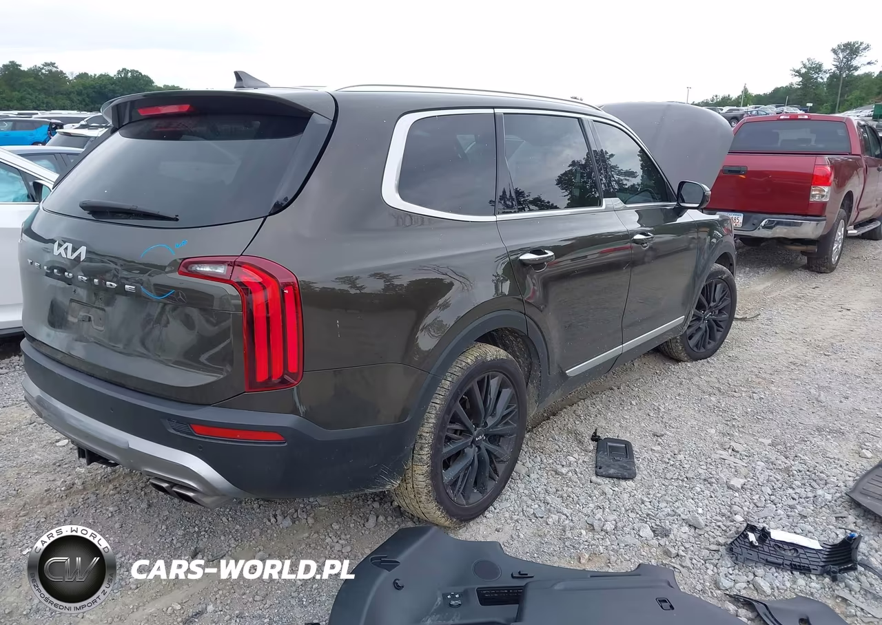 2022 Kia Telluride Sx VIN:5XYP54HCXNG202173 - 4