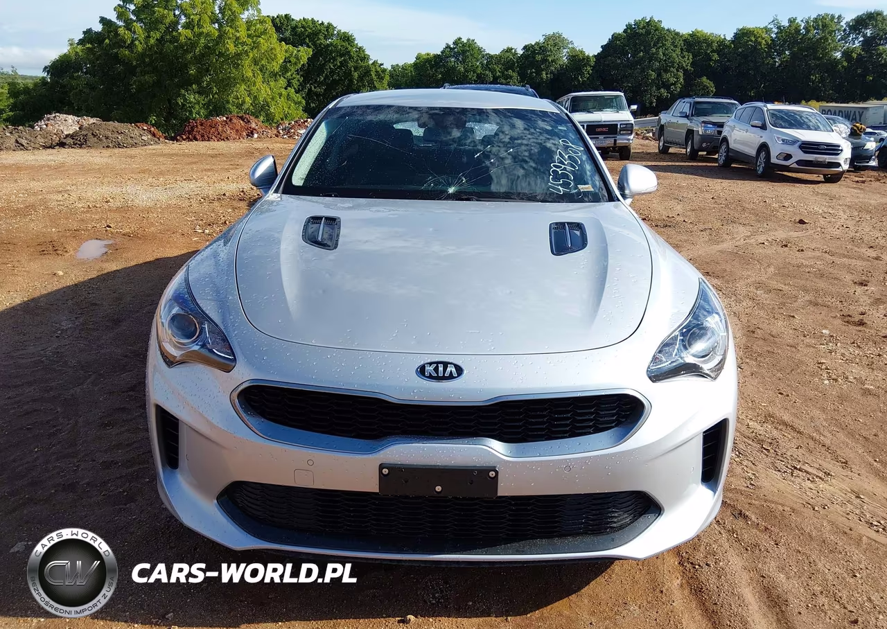 2018 Kia Stinger VIN:KNAE15LA1J6034643 - 12