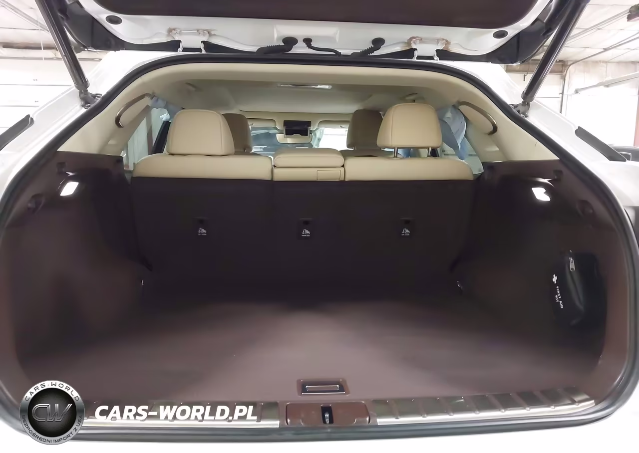 2020 Lexus Rx 450H VIN:2T2JGMDA5LC056466 - 17