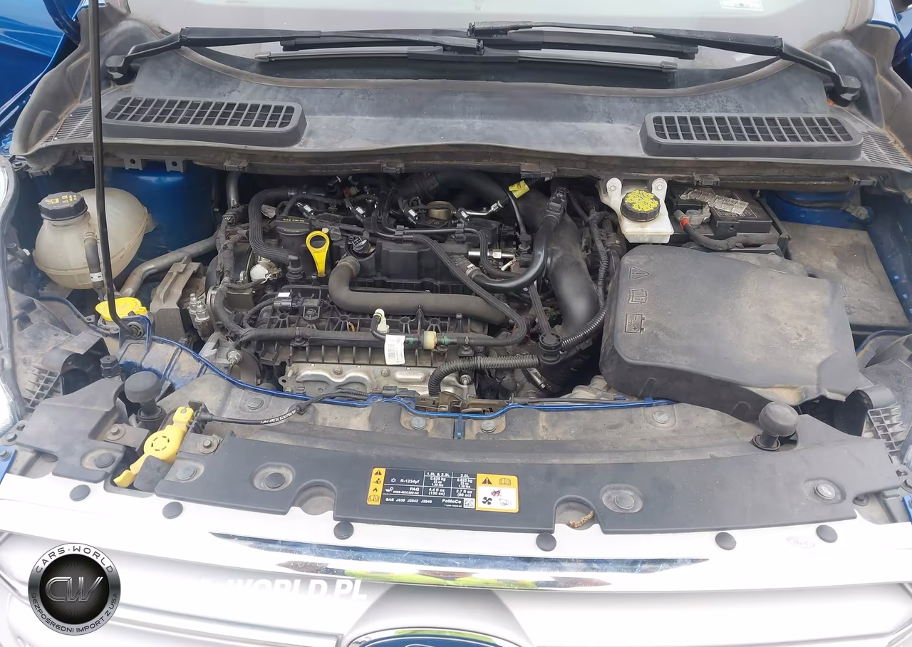 2019 Ford Escape Se VIN:1FMCU9GD2KUB03040 - 10