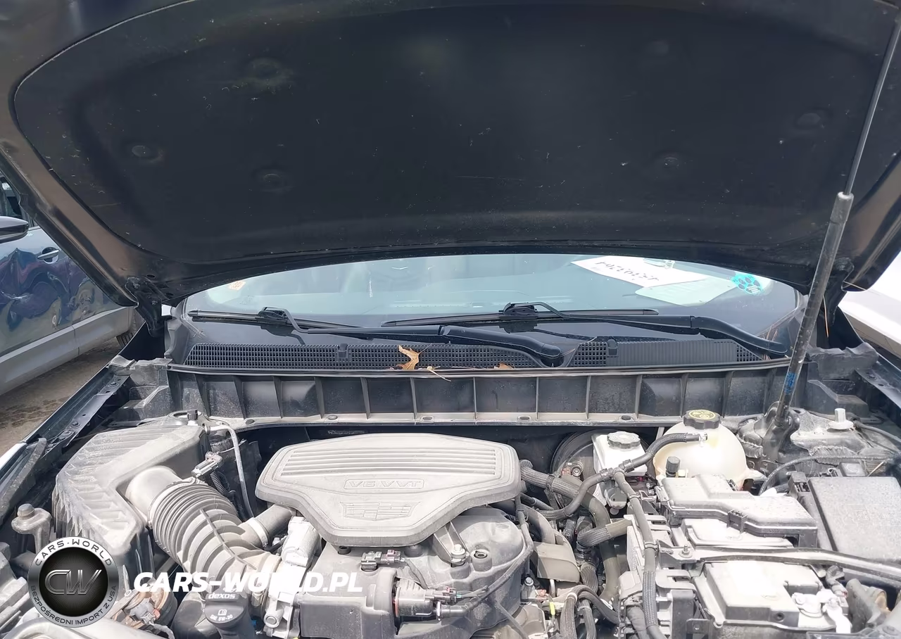 2019 Cadillac Xt5 Luxury VIN:1GYKNDRS6KZ285592 - 10