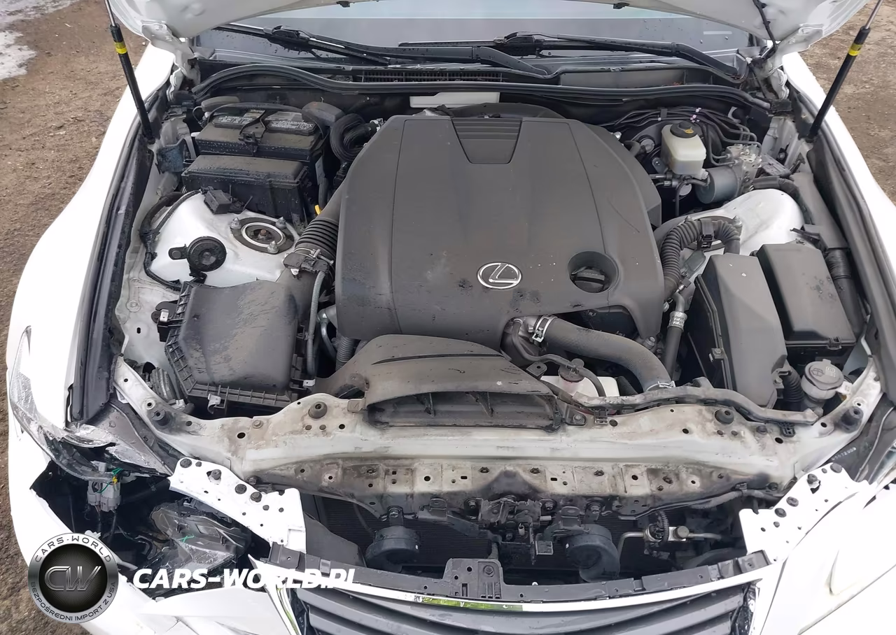 2015 Lexus Is 250 VIN:JTHBF1D20F5048164 - 10