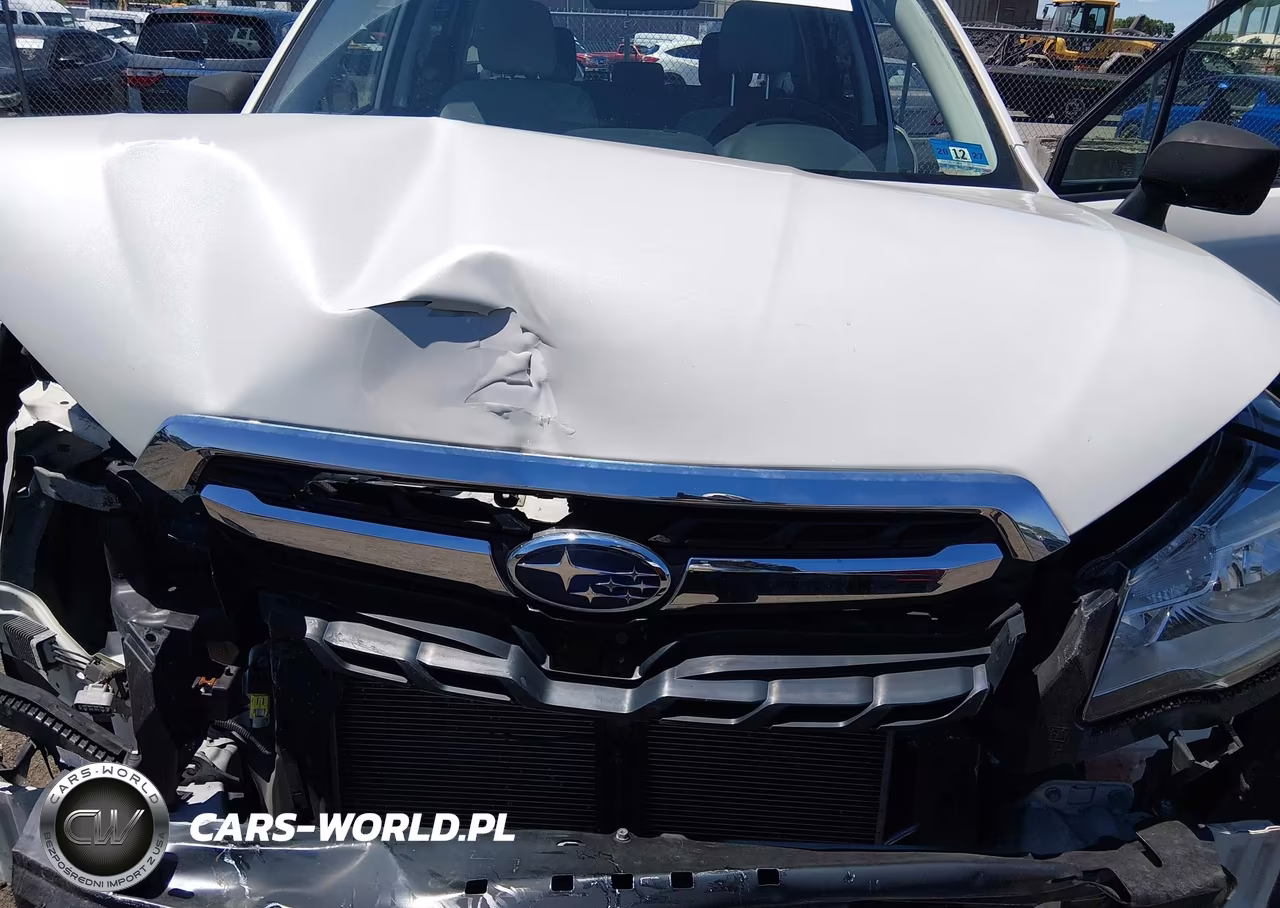 2018 Subaru Forester 2.5I Premium VIN:JF2SJAGC5JH432972 - 10