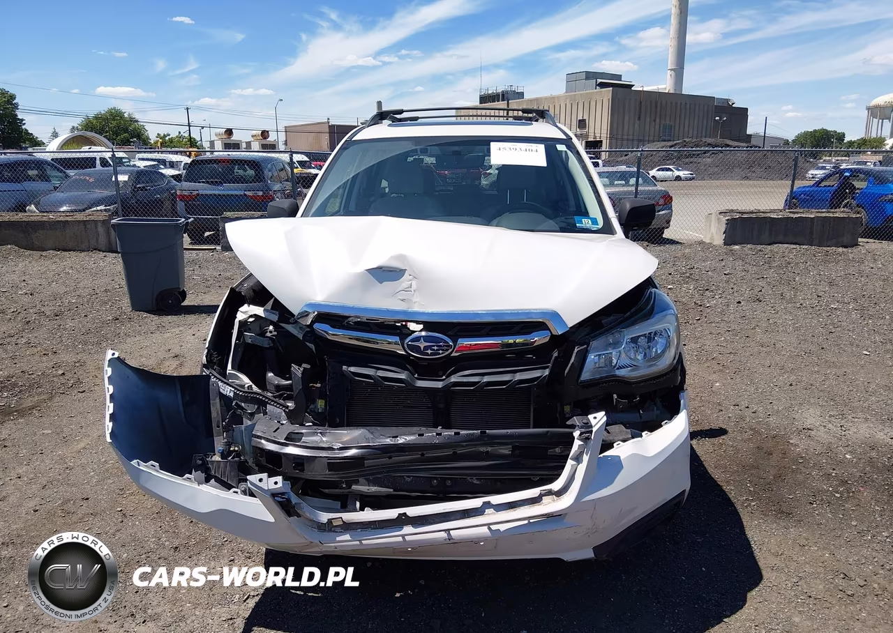 2018 Subaru Forester 2.5I Premium VIN:JF2SJAGC5JH432972 - 12