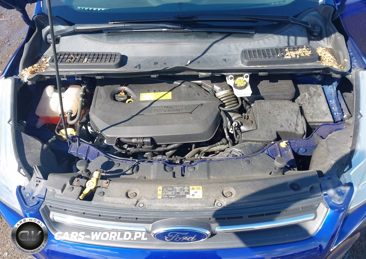 2014 Ford Escape Se VIN:1FMCU9GX3EUC05932 - 10