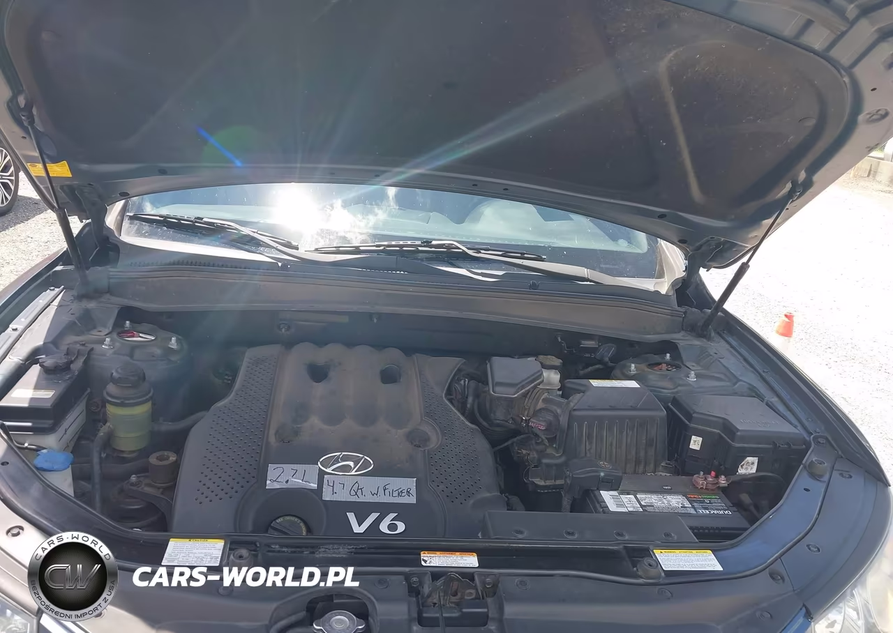 2007 Hyundai Santa Fe Gls VIN:5NMSG13D57H123036 - 10