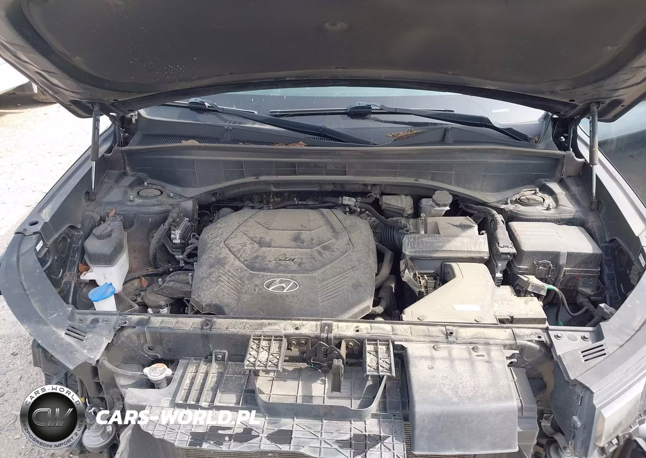2024 Hyundai Palisade Xrt VIN:KM8R34GE8RU669707 - 10