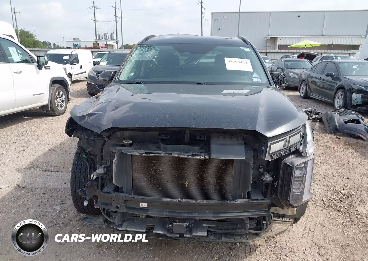 2024 Hyundai Palisade Xrt VIN:KM8R34GE8RU669707 - 13