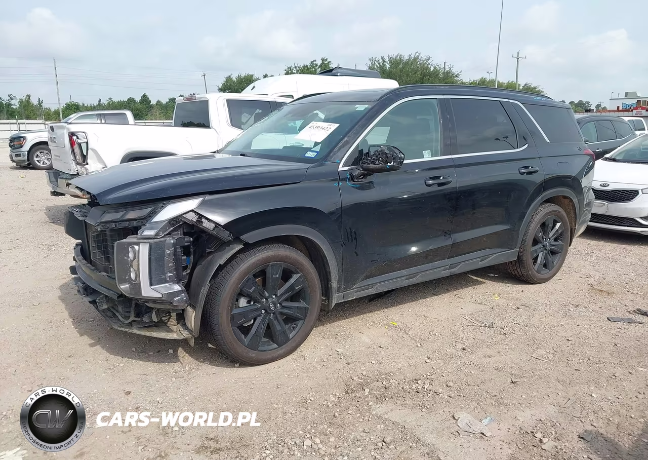 2024 Hyundai Palisade Xrt VIN:KM8R34GE8RU669707 - 2
