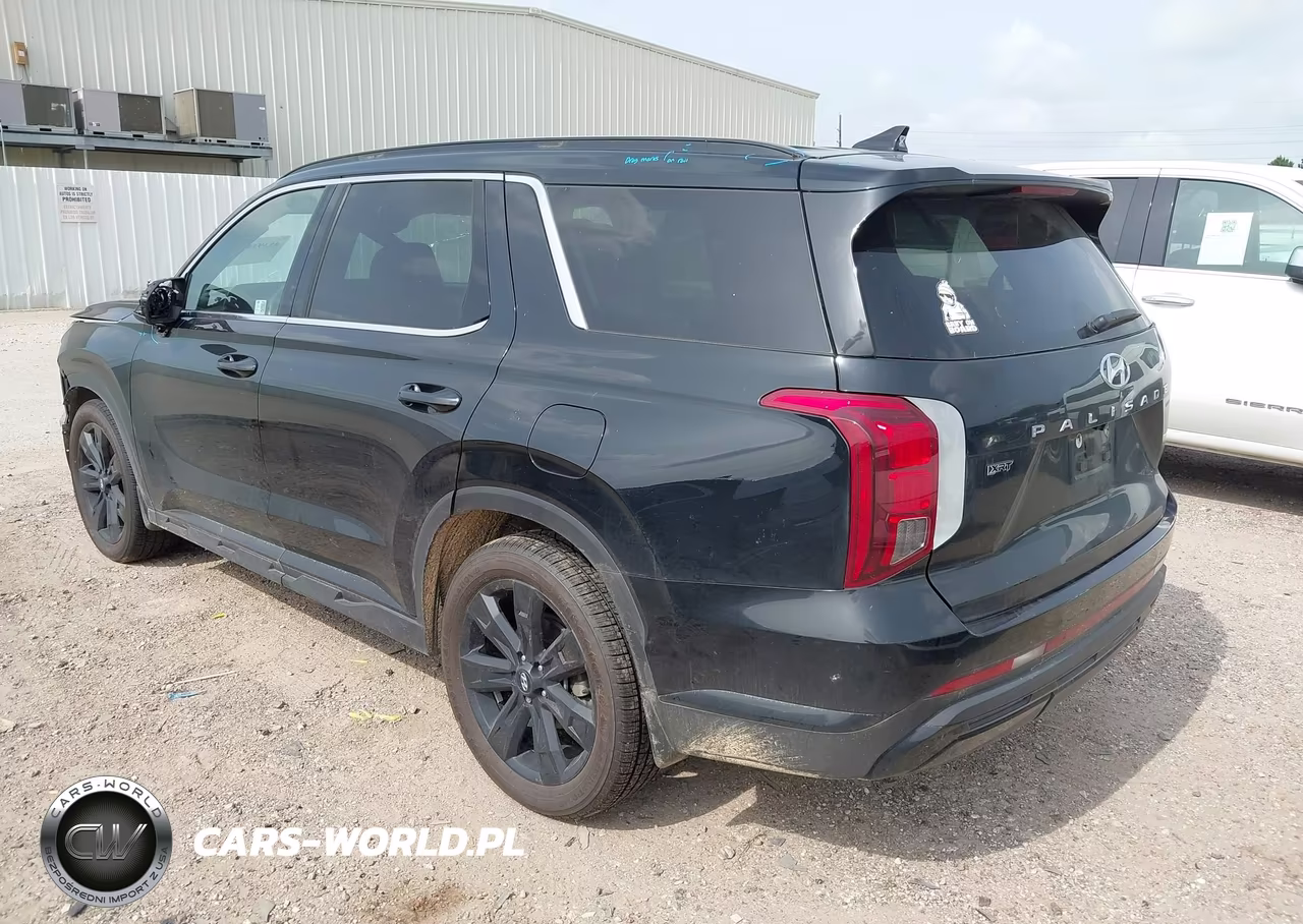 2024 Hyundai Palisade Xrt VIN:KM8R34GE8RU669707 - 3