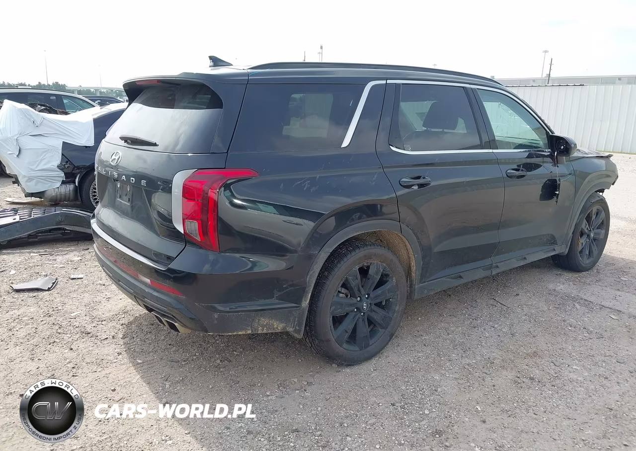 2024 Hyundai Palisade Xrt VIN:KM8R34GE8RU669707 - 4