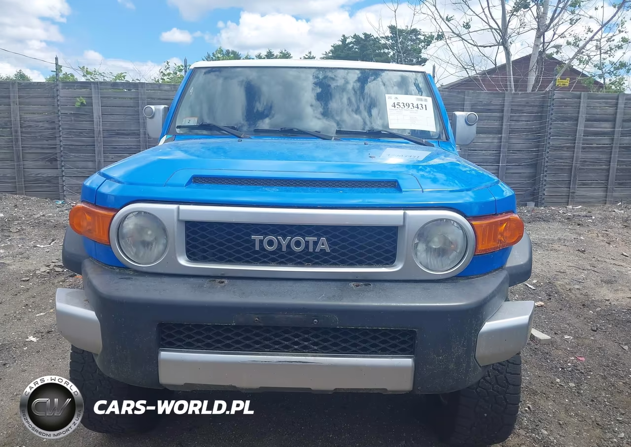 2007 Toyota Fj Cruiser VIN:JTEBU11F870046820 - 12