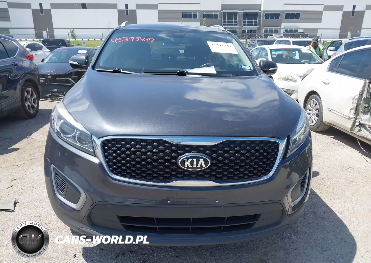 2017 Kia Sorento 2.4L Lx VIN:5XYPGDA30HG337431 - 12