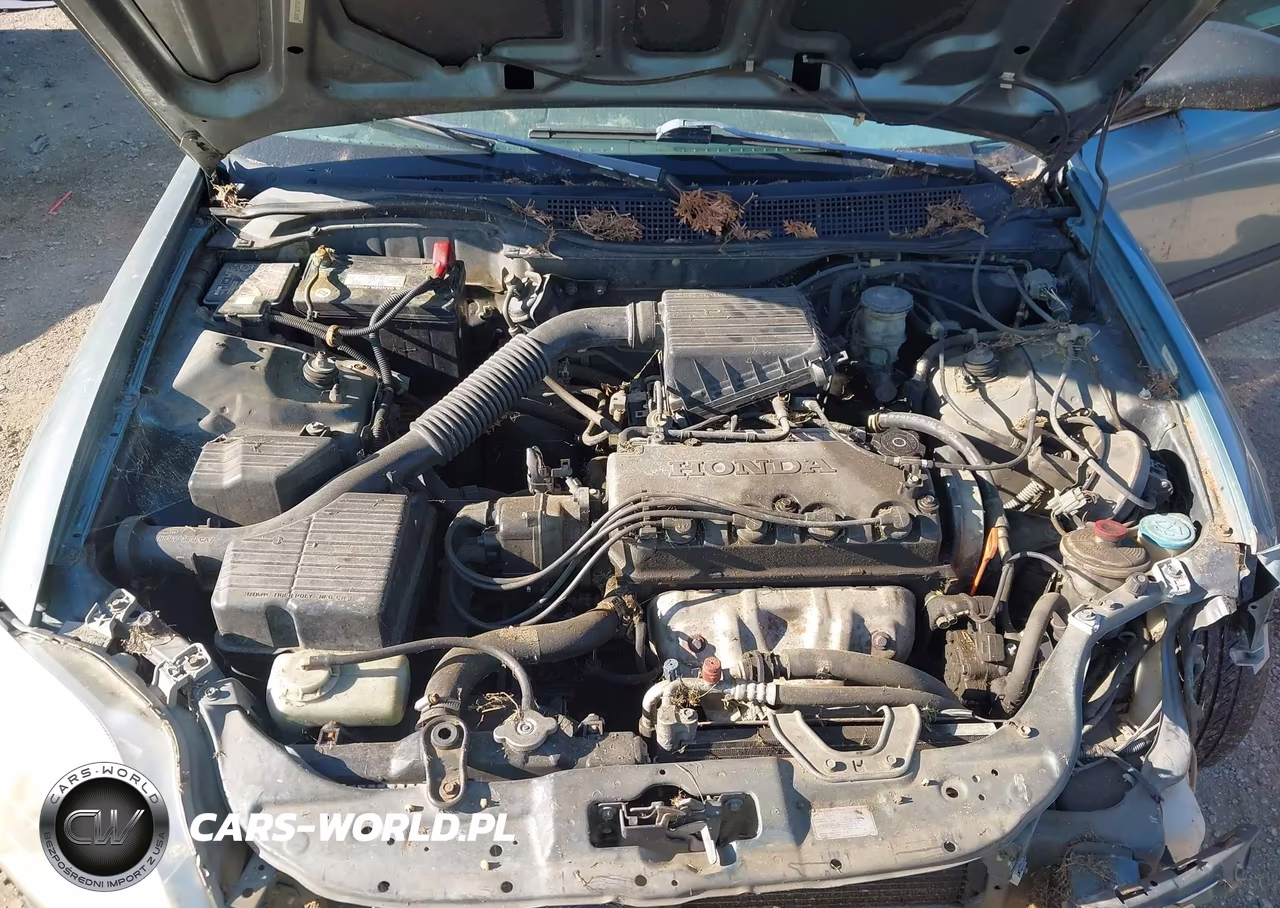 1999 Honda Civic Lx VIN:1HGEJ6675XL000998 - 10
