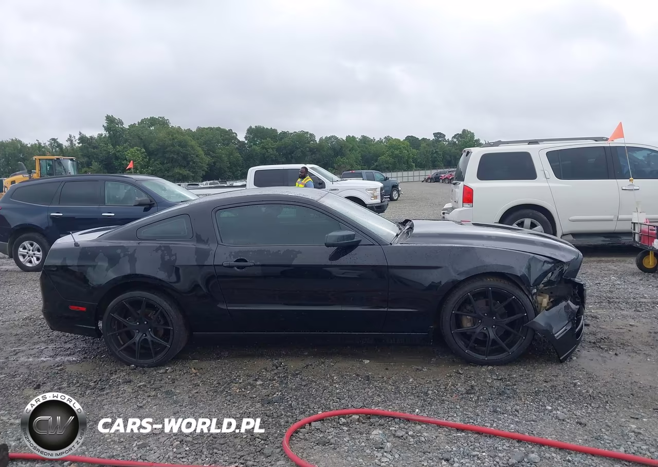 2014 Ford Mustang V6 VIN:1ZVBP8AM3E5251414 - 13