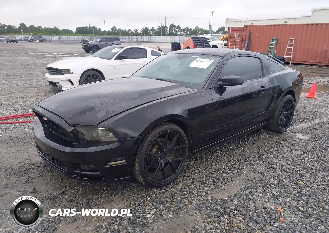 2014 Ford Mustang V6 VIN:1ZVBP8AM3E5251414 - 2