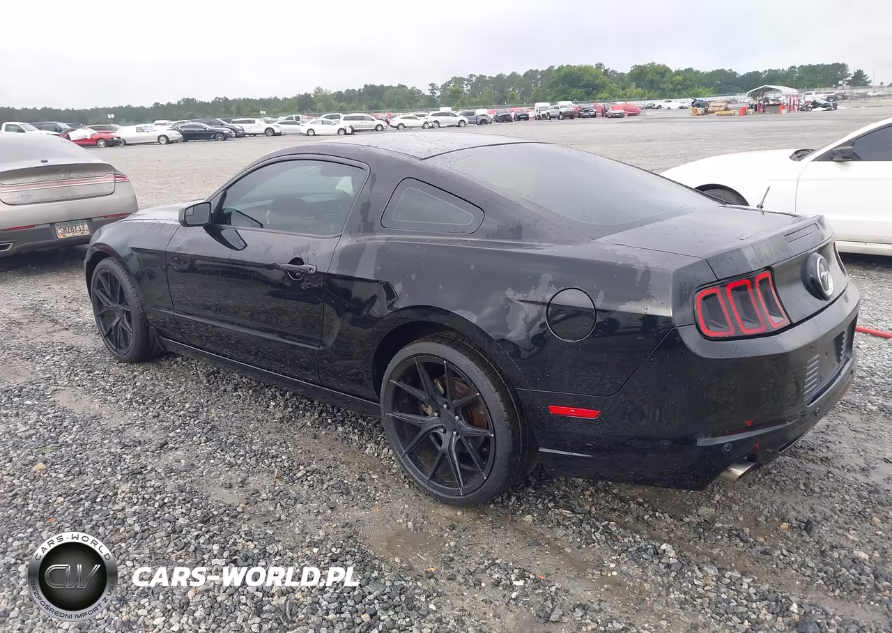 2014 Ford Mustang V6 VIN:1ZVBP8AM3E5251414 - 3