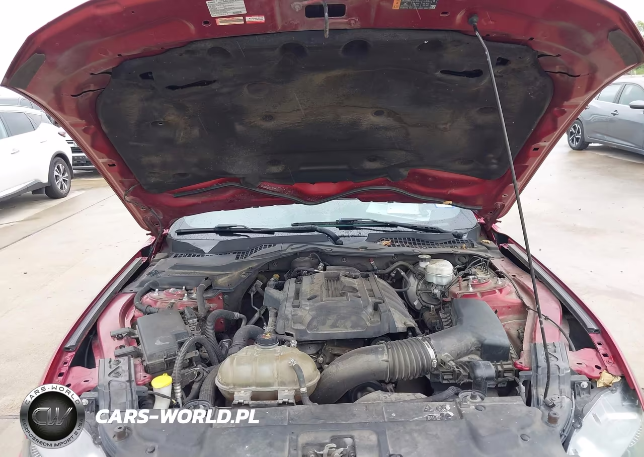 2019 Ford Mustang Ecoboost Premium VIN:1FA6P8TH1K5174953 - 10